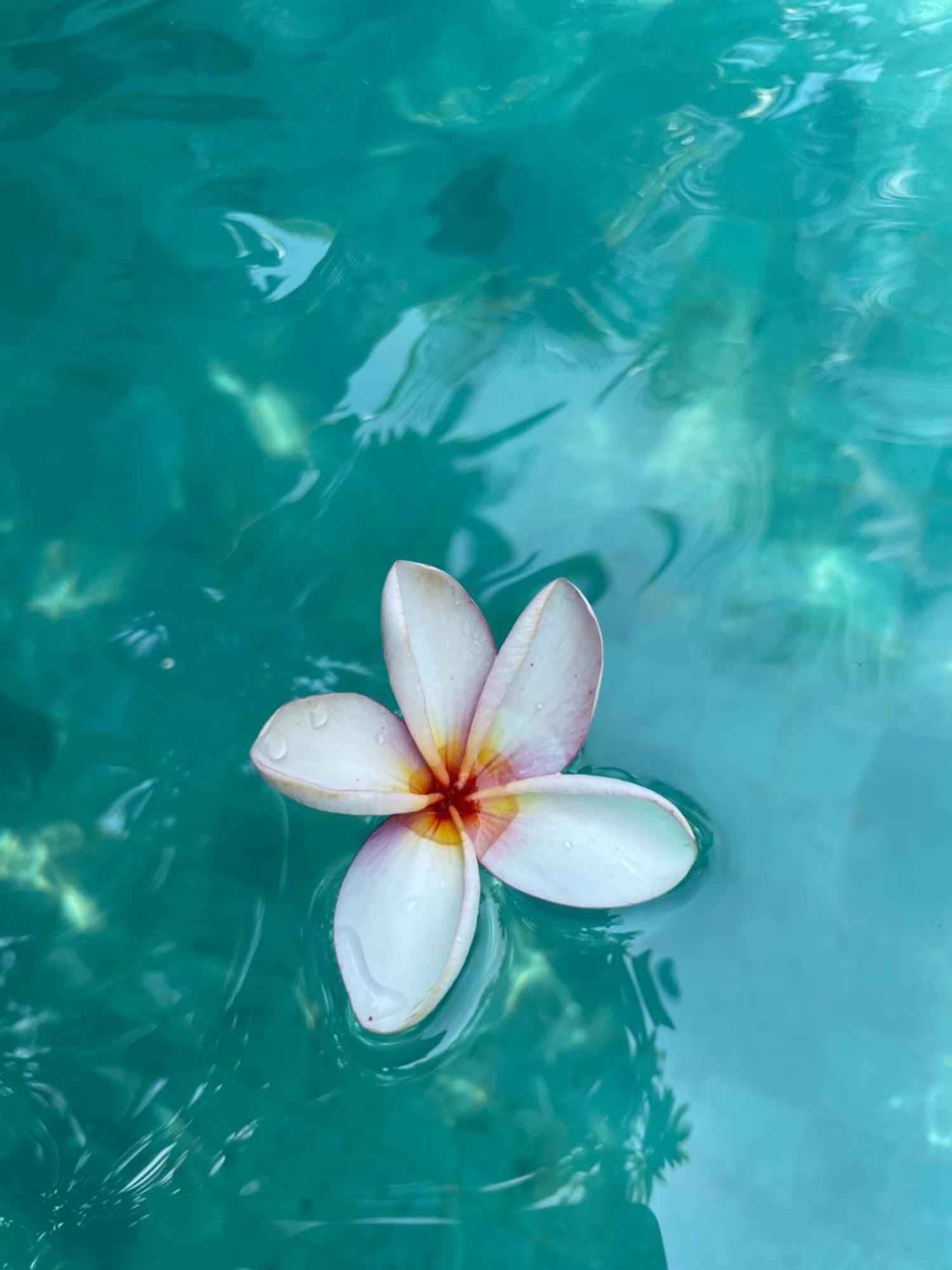 Umakayu Joglo Villa Canggu - Boutique Hotel Dış mekan fotoğraf