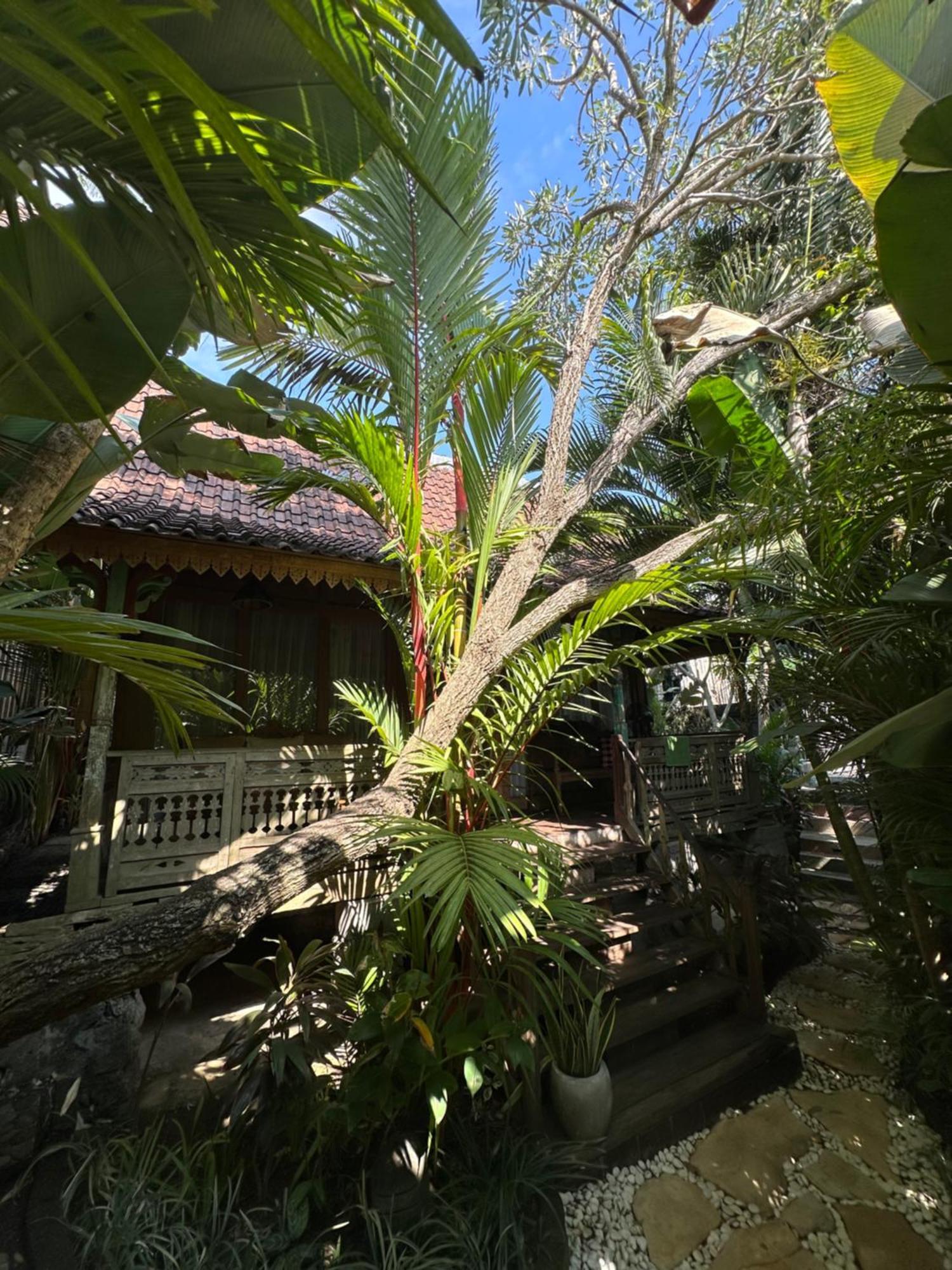 Umakayu Joglo Villa Canggu - Boutique Hotel Dış mekan fotoğraf